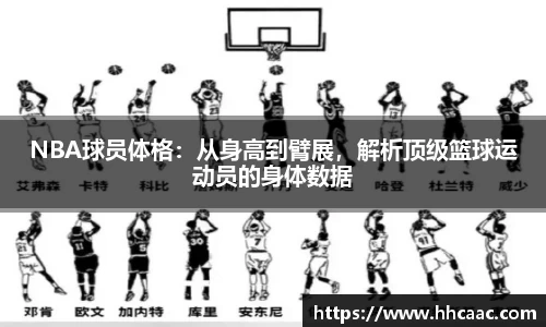 NBA球员体格：从身高到臂展，解析顶级篮球运动员的身体数据
